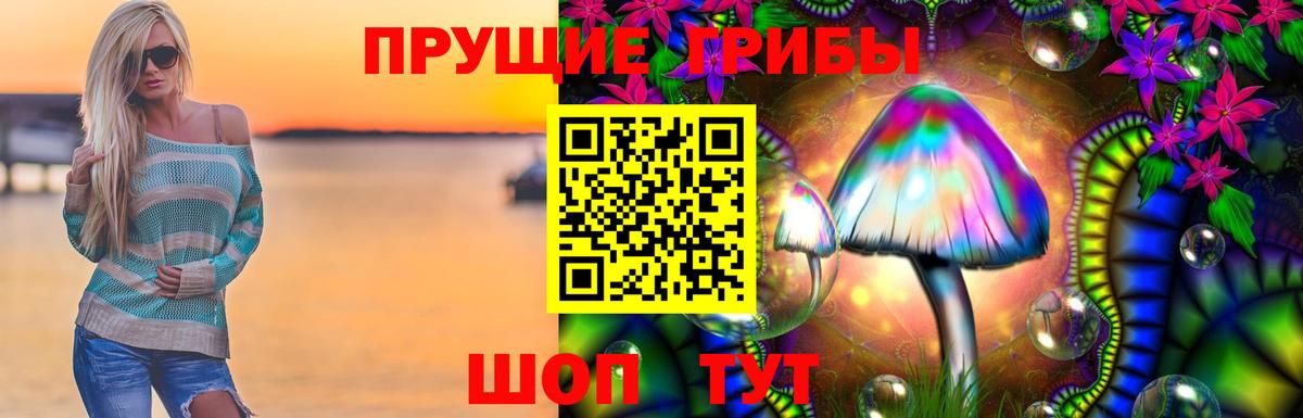 Галлюциногенные грибы GOLDEN TEACHER Новокубанск