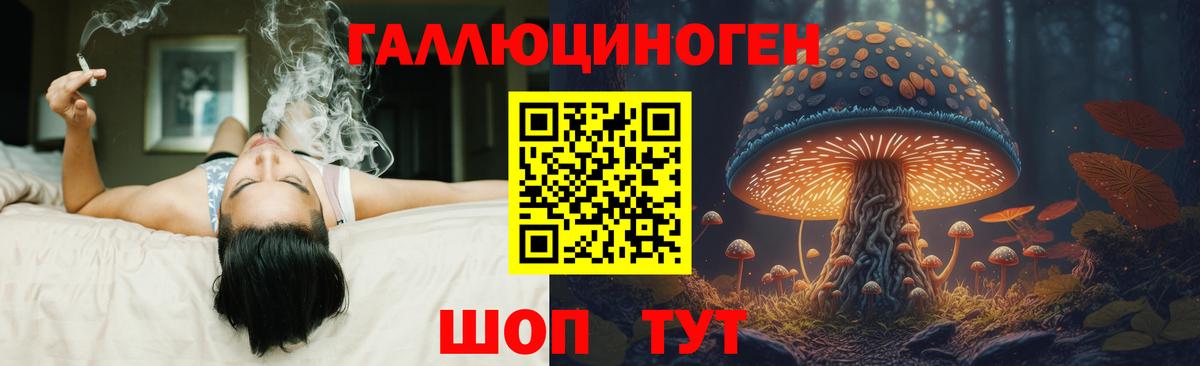 дарнет шоп  Вход с VPN  Галлюциногенные грибы мухоморы  Новокубанск  Галлюциногенные грибы ЛСД 